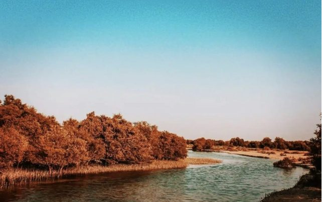 阿布紮比适合戶外(wài)瑜伽的(de)六個(gè)絕佳場(chǎng)所  