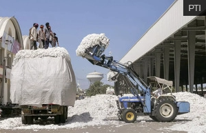 印度紡織業(yè)尋求總理(lǐ)幹預,以穩定棉花(huā)價格